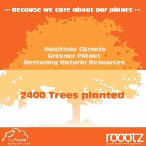 2400 Bomen geplant WeForest | ROOOTZ